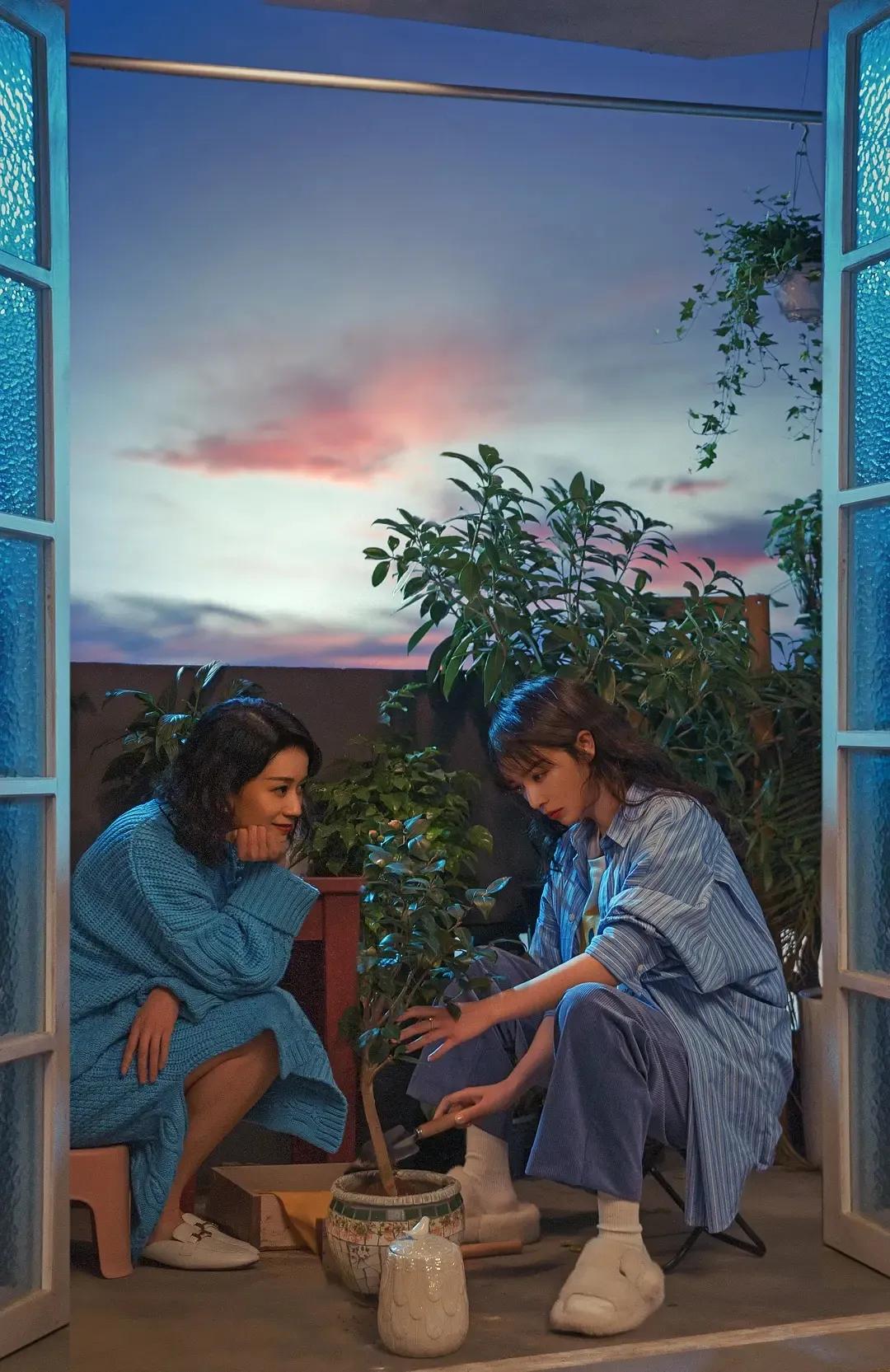 阚清子倪虹洁突如其来的假期,阚清子倪虹洁发布会