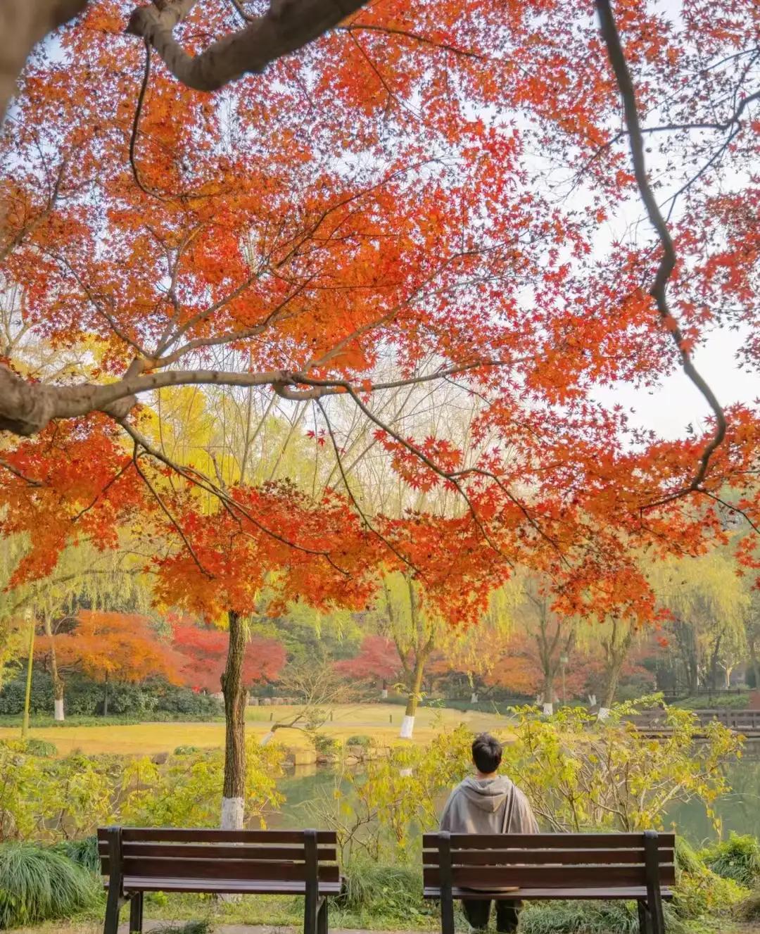 杭州周边赏秋好去处,杭州赏秋最佳攻略