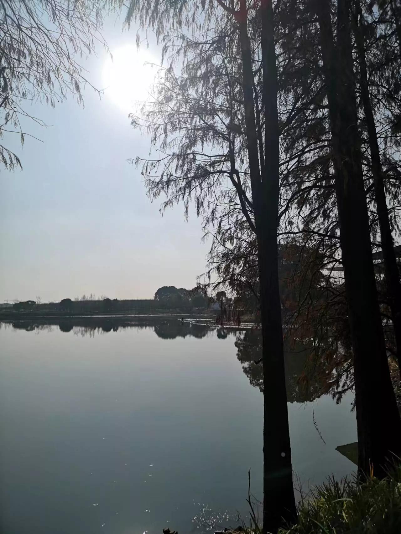 二元思辨和三元思辨作文题目,高考作文三元思辨题题目大全