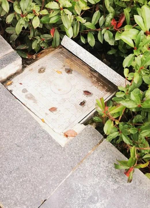 路上有什么东西不起眼但是很贵,路上的小物件