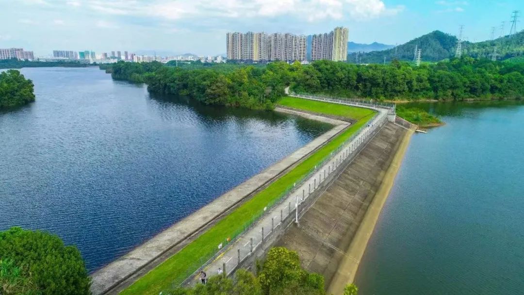 深圳一季度经济数据出炉,深圳一季度经济数据解读