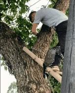 女孩去纹身结果喜欢上了纹身师,陪老婆去纹身