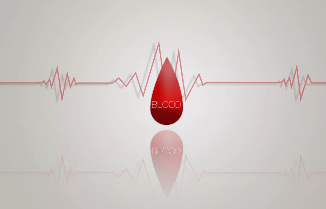 血管“清洁工”DFPP：专治血液不干净