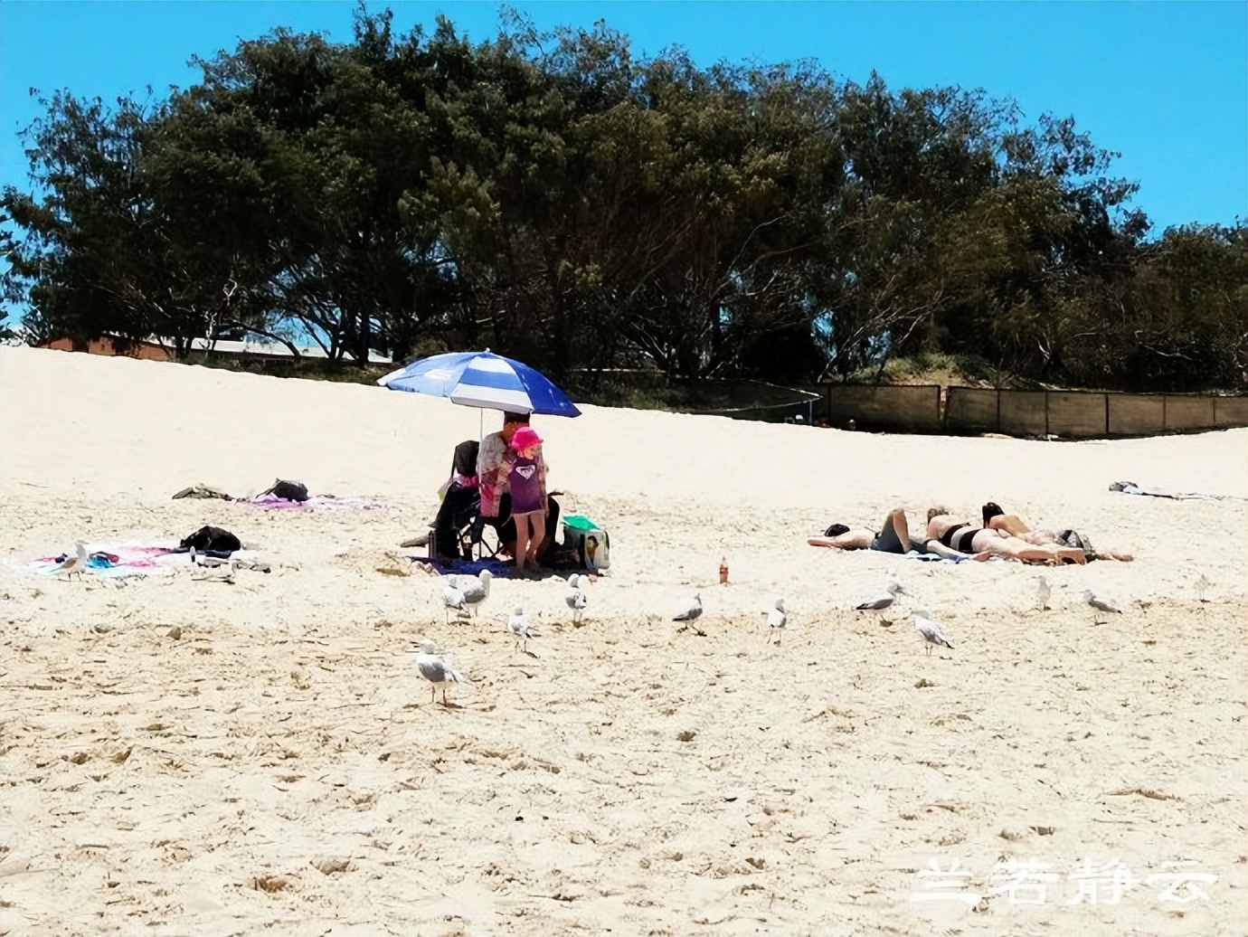 冲浪者天堂的黄金海岸,黄金海岸冲浪者天堂攻略