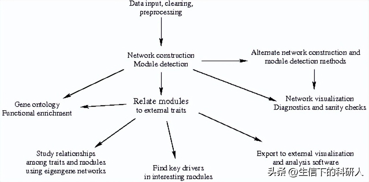 什么是wgcna分析,wgcna分析原理