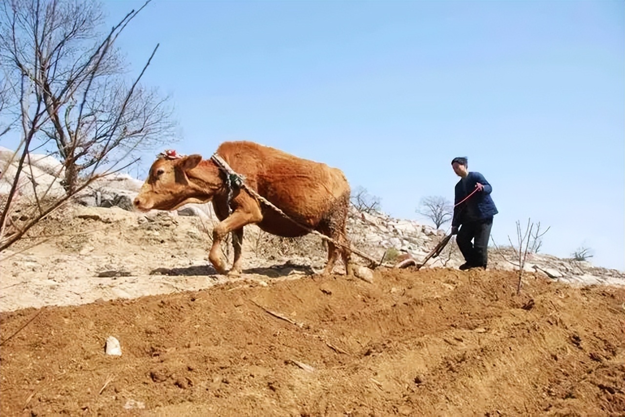 铁云｜人类快跑，机器人追上来了