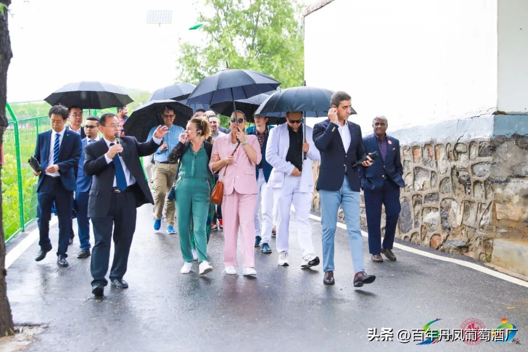 2024第五届丹凤西部红酒节,2024丹凤红酒节