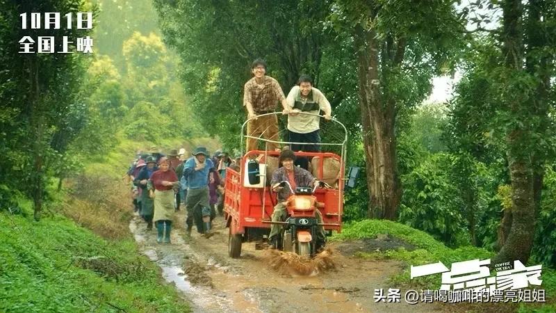 云南天皓庄园咖啡豆,云南天皓庄园