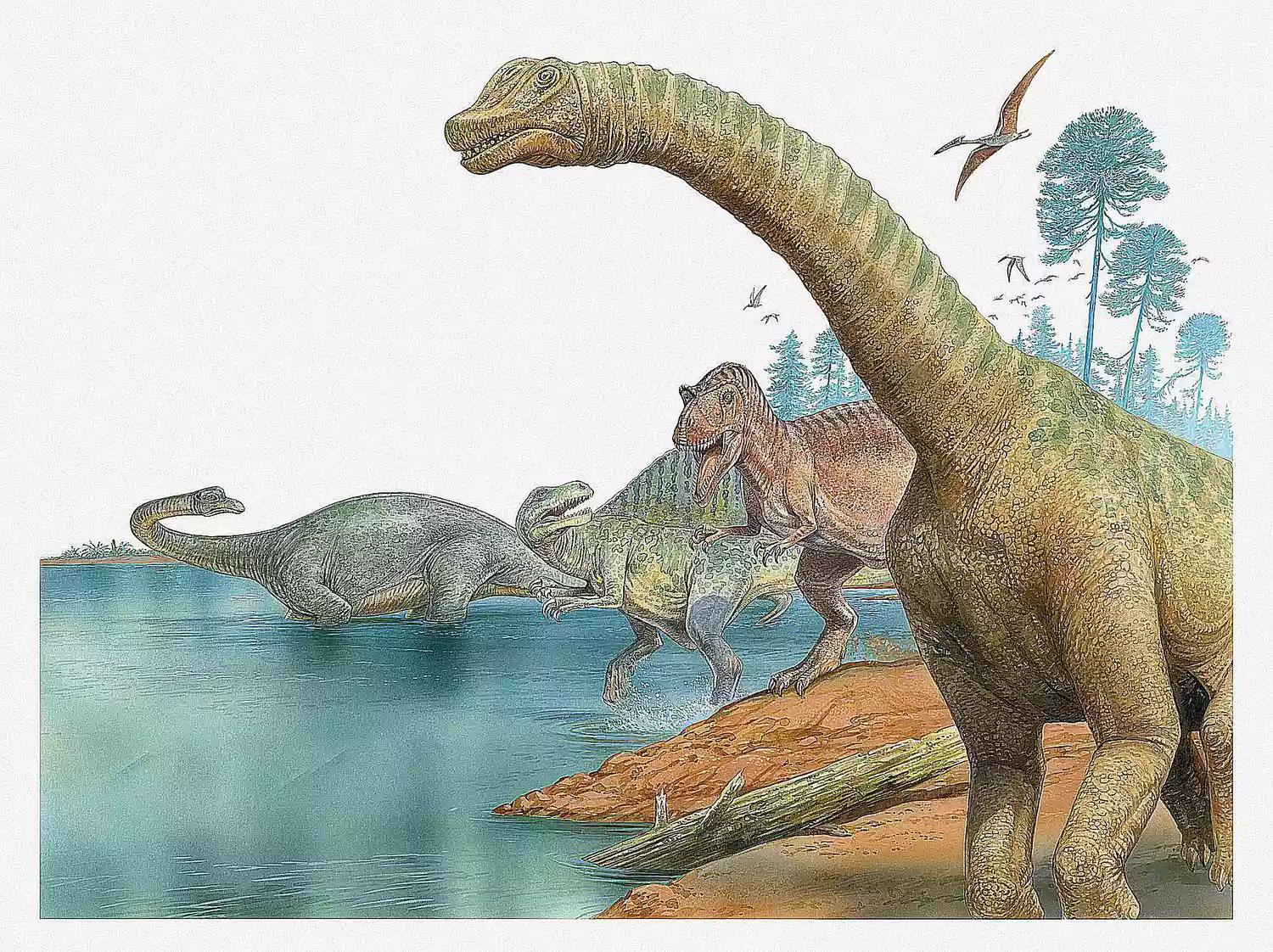 恐龙时代泰坦巨龙与雷龙,泰坦巨龙恐龙化石