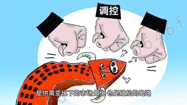 住宅新玩法,住房出租新模式