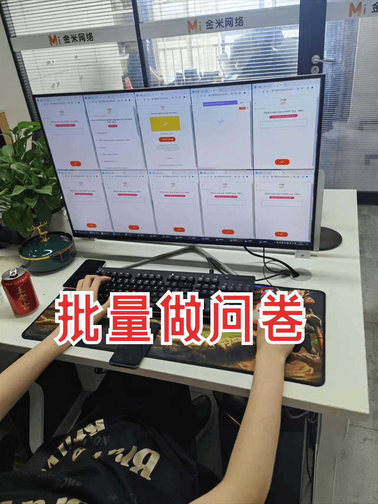 海外调查问卷赚取美金,海外问卷调查到底是什么东西