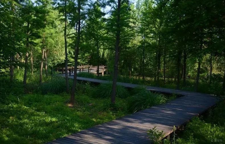 江苏有泰州吗,江苏泰州大泗镇