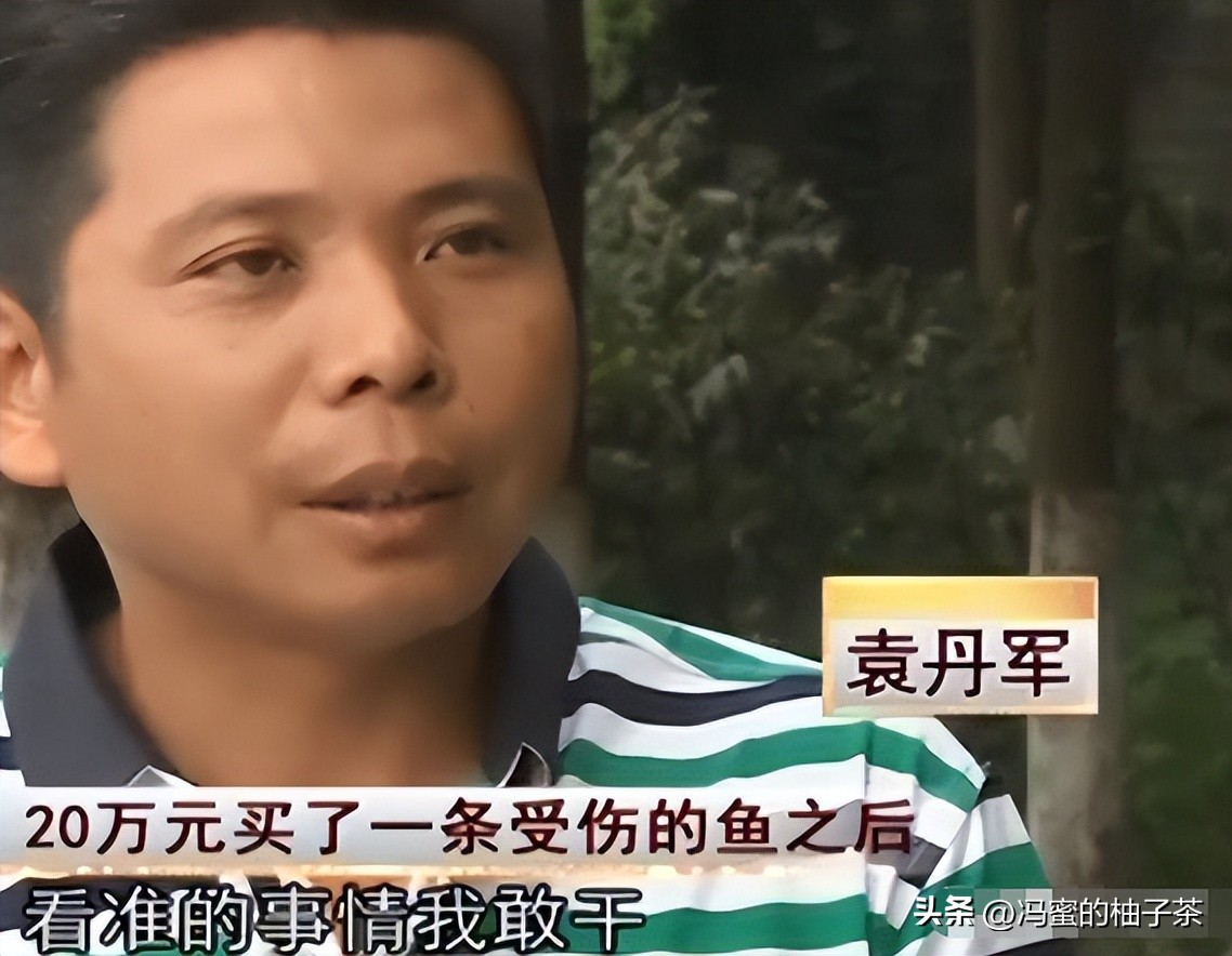 男子花13万买的鱼因停电缺氧死亡,男子花20万买一条受伤鲶鱼后续