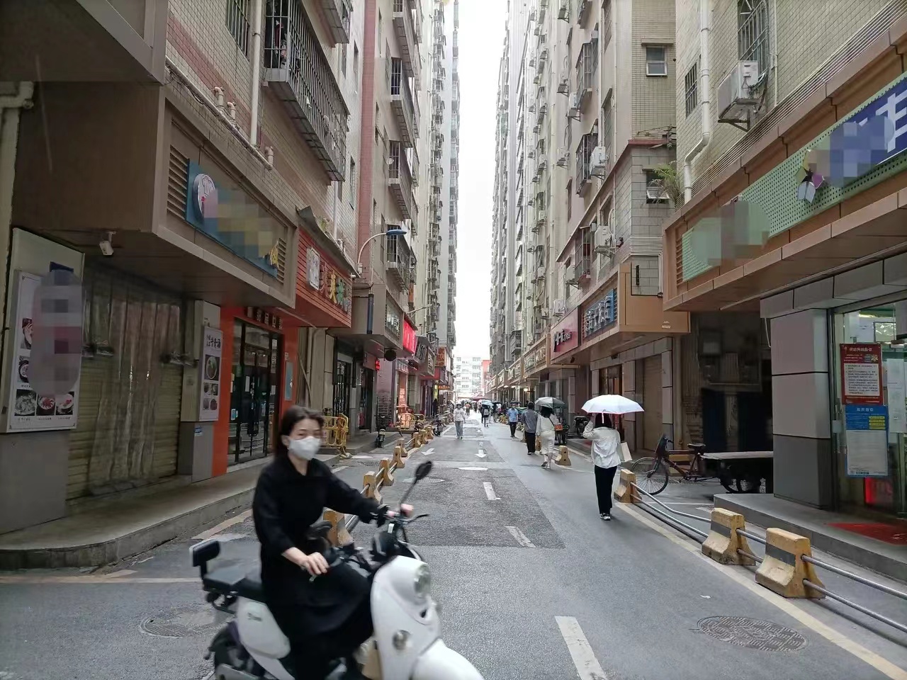 农村创业养50只大白鹅能卖多少钱,1亩地养鹅年收40万