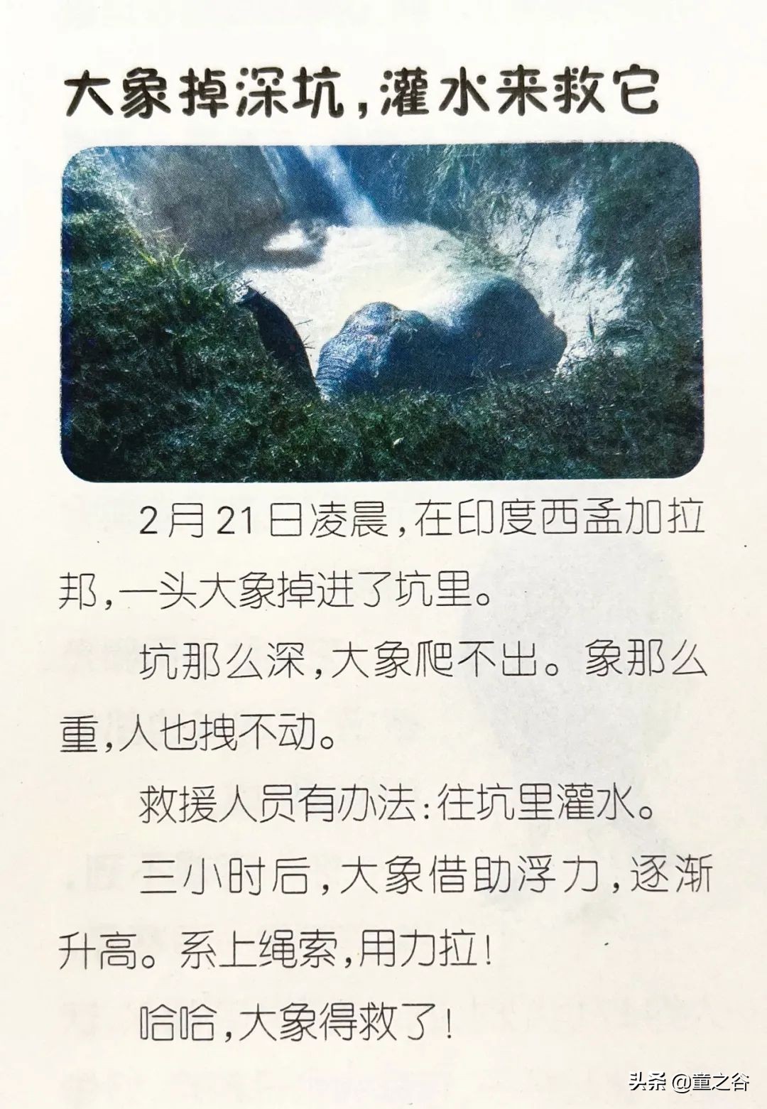 小学生需要知道的时事新闻知识,小学生记录时事新闻播报最新一期