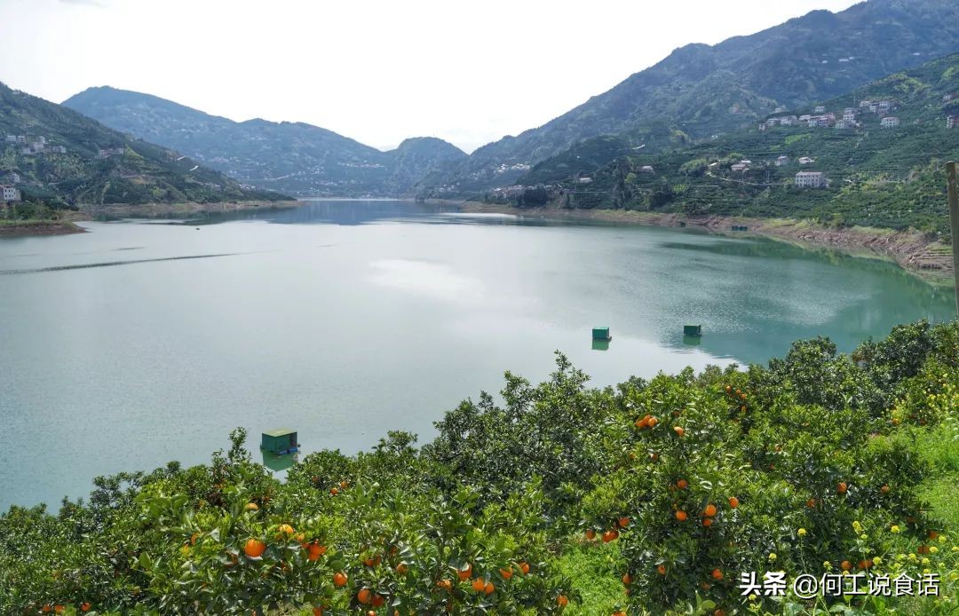 期待回秭归,回忆秭归