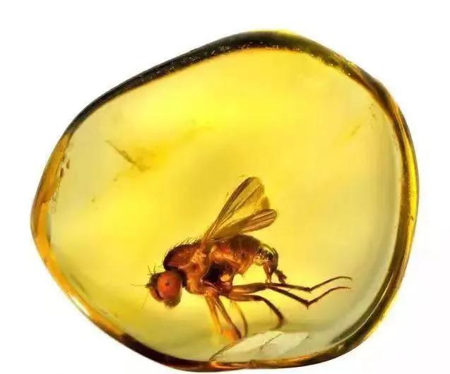 世界各国国石是什么石,各国国石图片大全