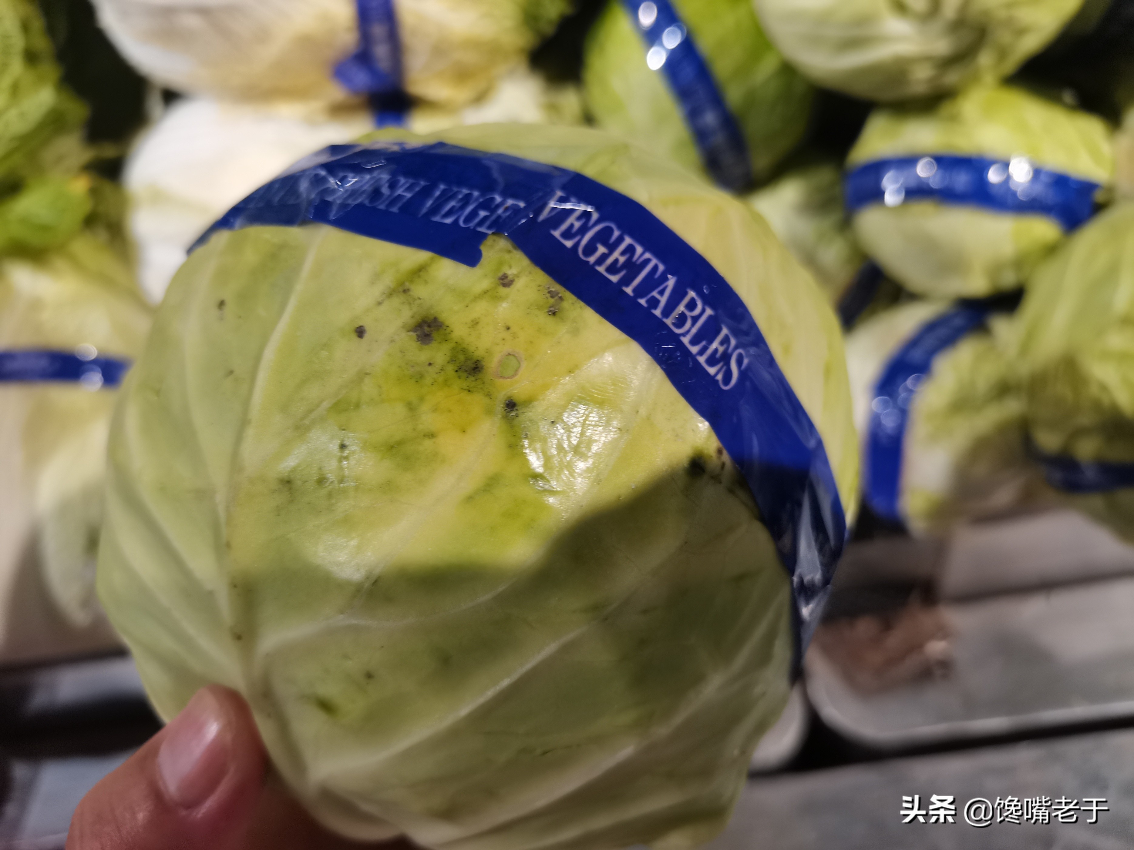 包菜紧实的好还是松的好,包菜松散好还是结实好吃