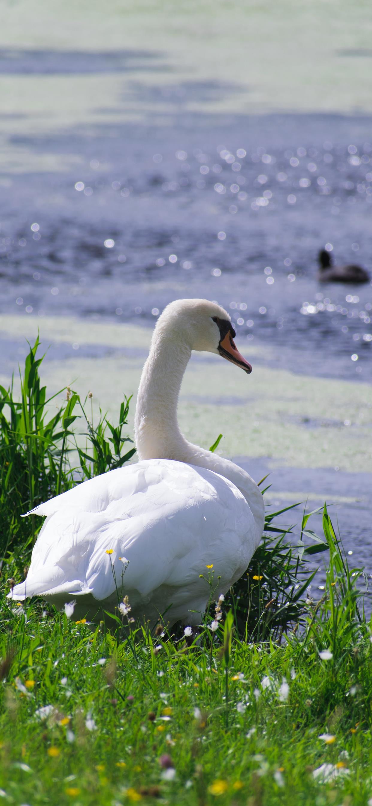 超治愈又好看的手机壁纸,推荐超好看的手机壁纸