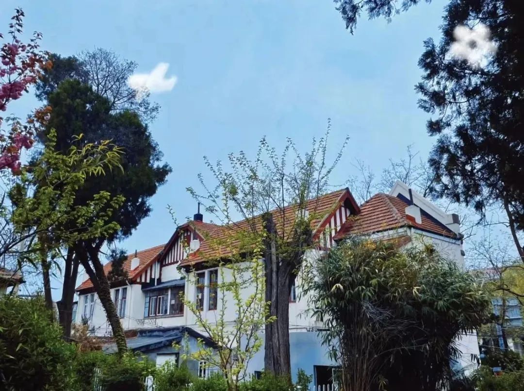 文旅演艺体验官,文旅体验城市