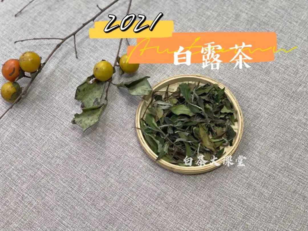 初学品茶怎么感受茶的醇与甘,如何正确选茶品茶