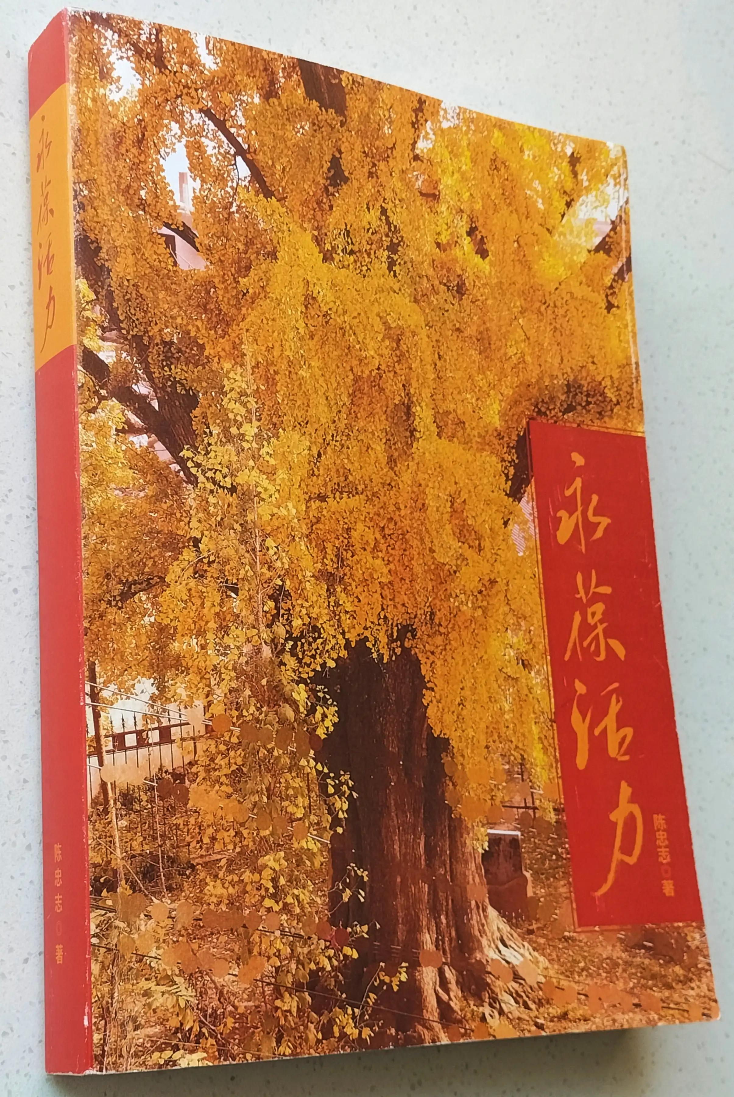 12岁生日宴,简单的生日宴