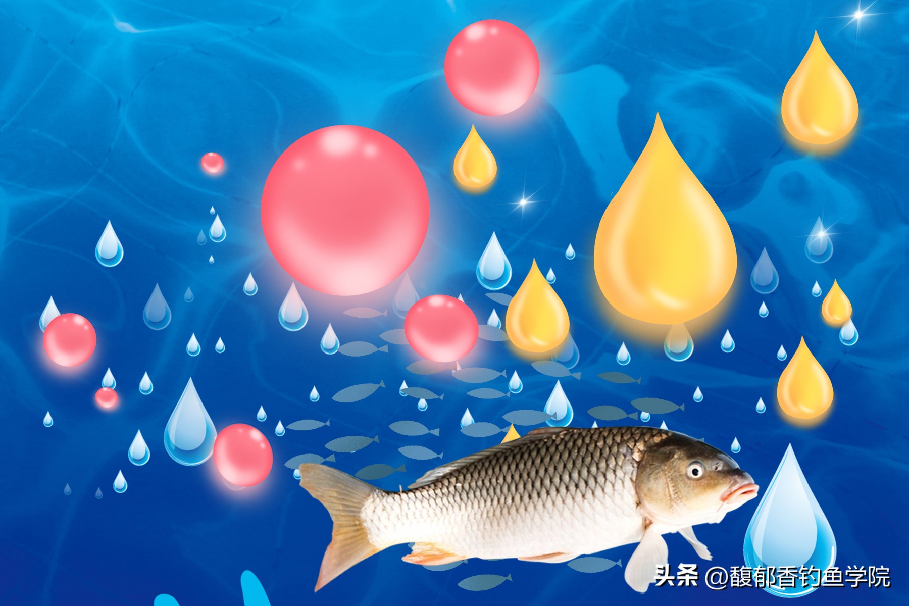 哪种小药诱鱼快？如何使用诱鱼小药？诱鱼小药的分类和使用技巧