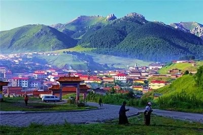 村干部不作为？如何维护农民的合法权益？这几种举报途径可以借鉴