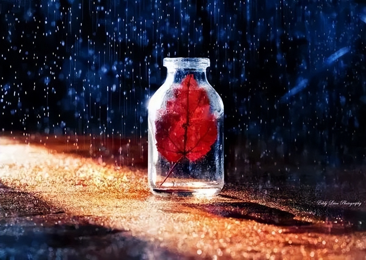 关于禅意家居生活的文案,家居美学文案