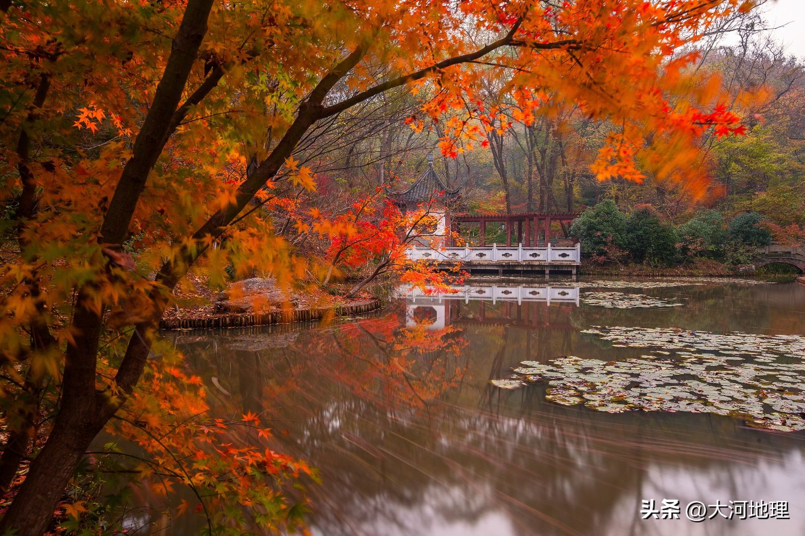 旅游攻略国内十大必去景点南方,中国南方著名景点