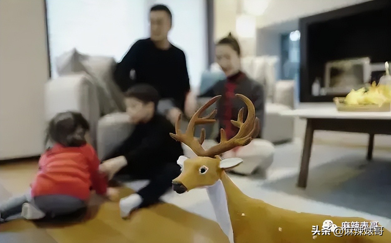 网红张大奕官宣订婚对象是谁,跟张大奕找对象的是谁