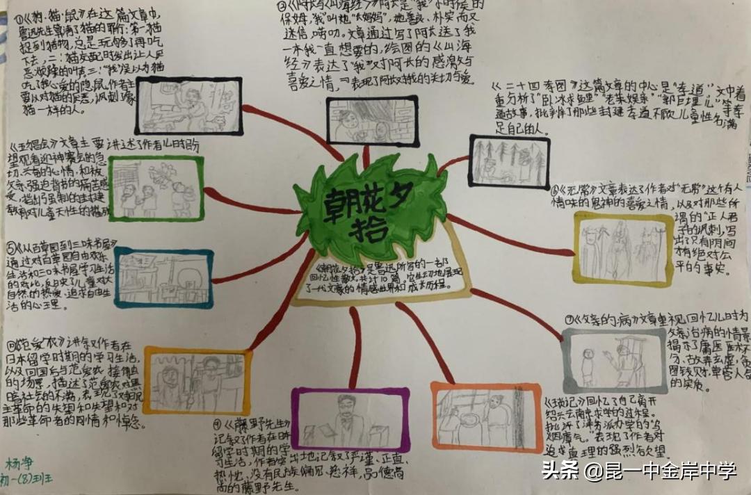 融合创新采撷精彩——《朝花夕拾》之重回百花园，绽放生命的美