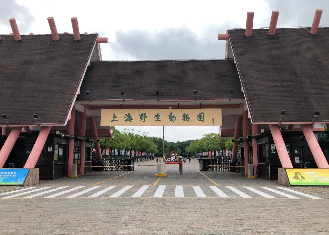 上海动物园和野生动物园哪个好,上海动物园地址和路线
