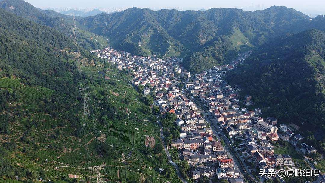杭州最有名的茶旅,杭州盛产茶的地方有哪些