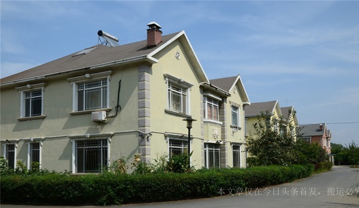 三亚凤凰岛重整,三亚凤凰岛破产