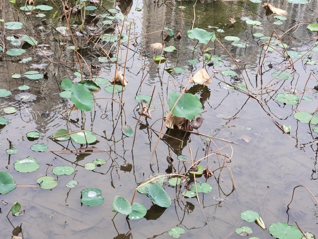 来看看古人是如何写落寞,古人如何写迷茫