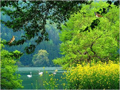 美女屏保动态壁纸高清唯美,50张顶级绝美图片动态壁纸