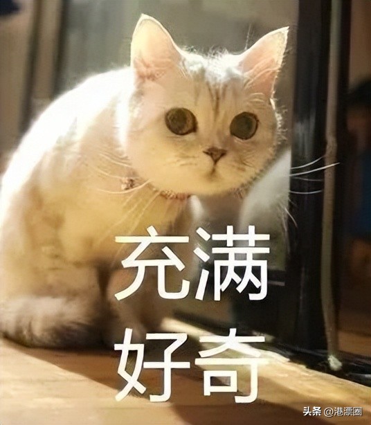 一天丢1.8万亿！今天全港人都被他坑了