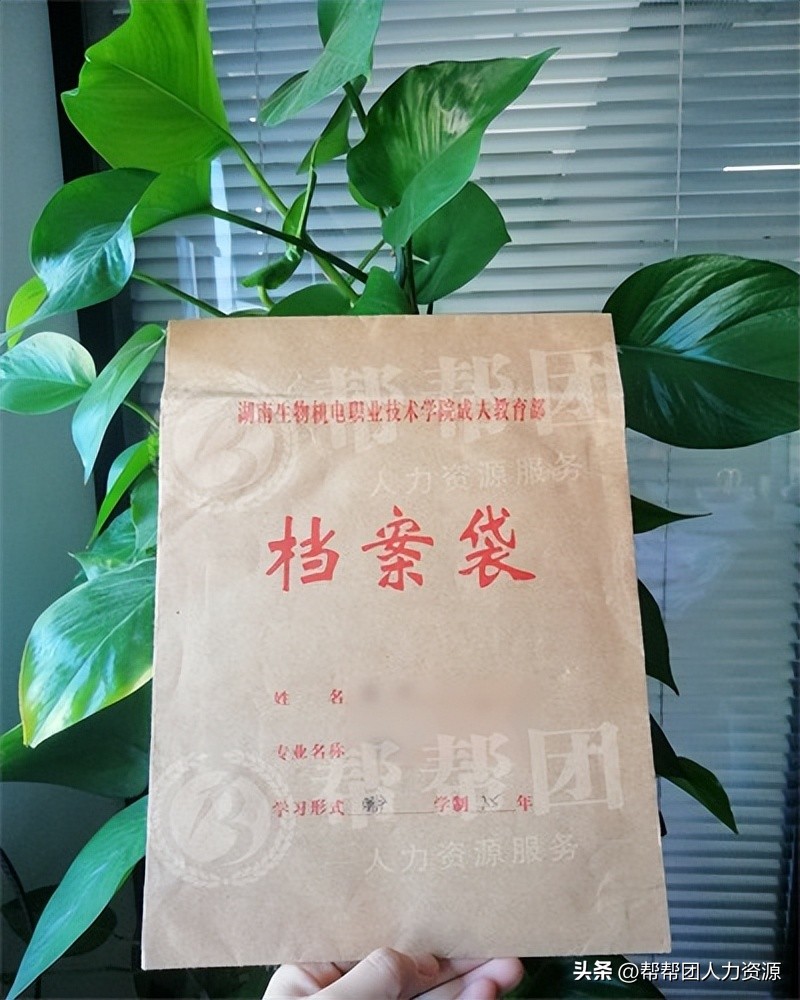 高中学籍档案补办流程,学籍档案掉了