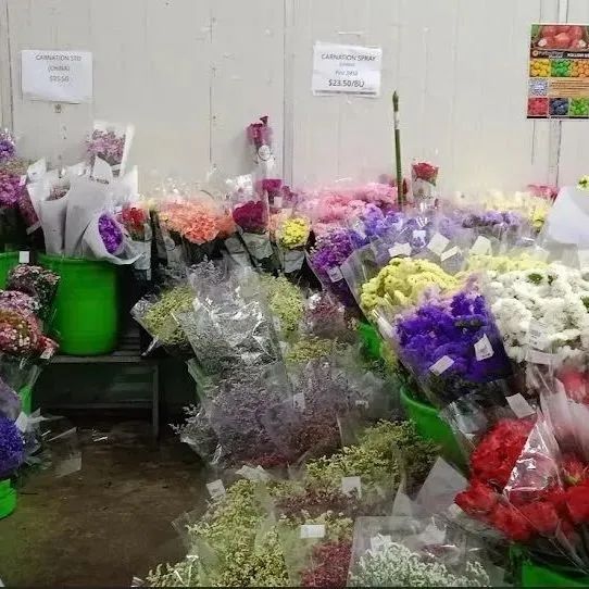 鲜花在水里能养几天会死,新加坡盆栽花卉怎么养