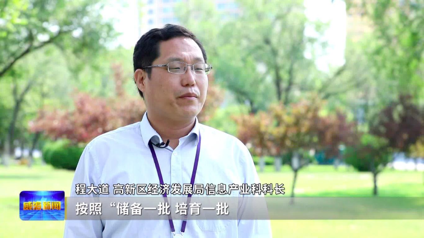 专精特新小巨人崛起,专精特新小巨人高新技术企业