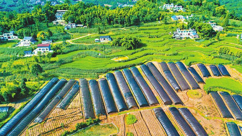 乐山新闻权威发布,乐山新闻最新要闻