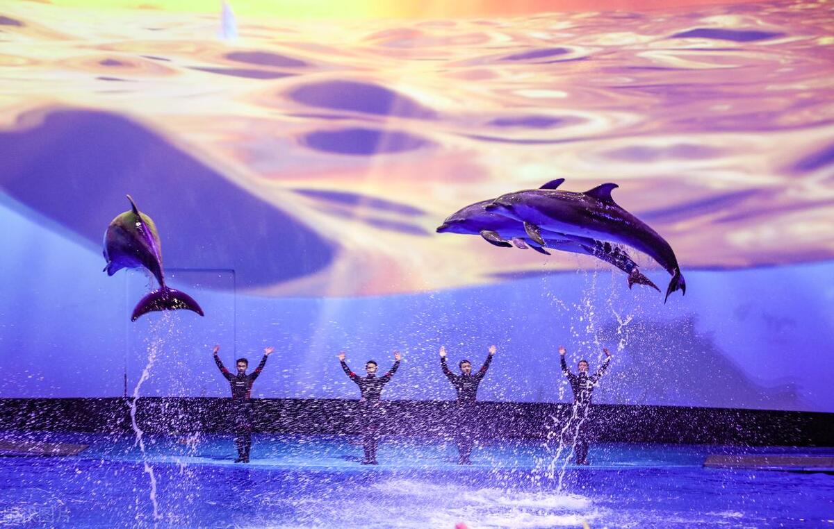 青岛十大最好玩的景点,青岛旅游十大必去景点免费