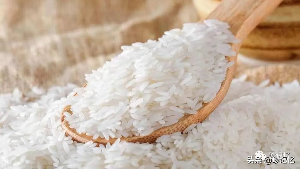 饭店回忆录模板,饭店回忆录