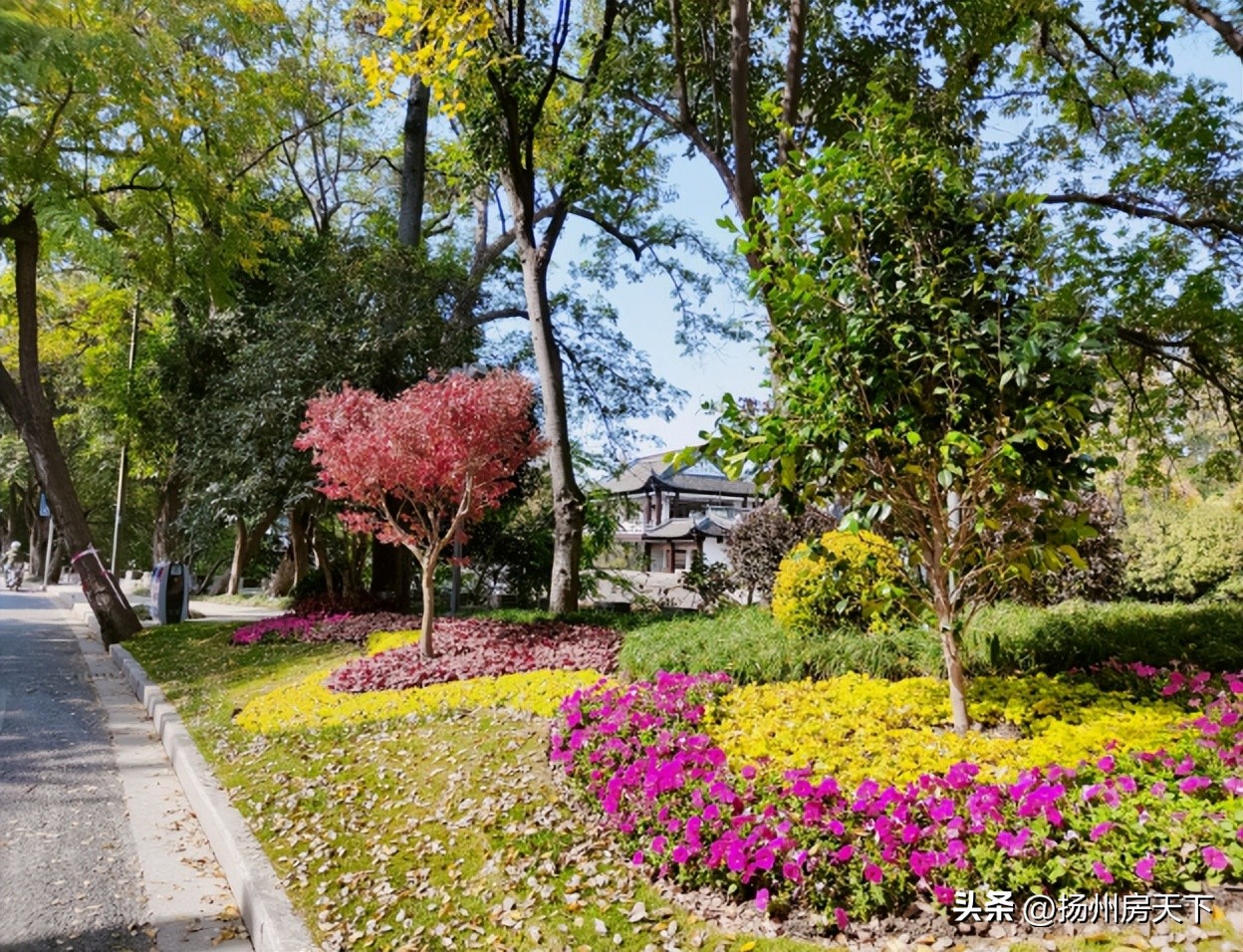 扬州重大项目投资全省第一,扬州市第一中学排全国多少名