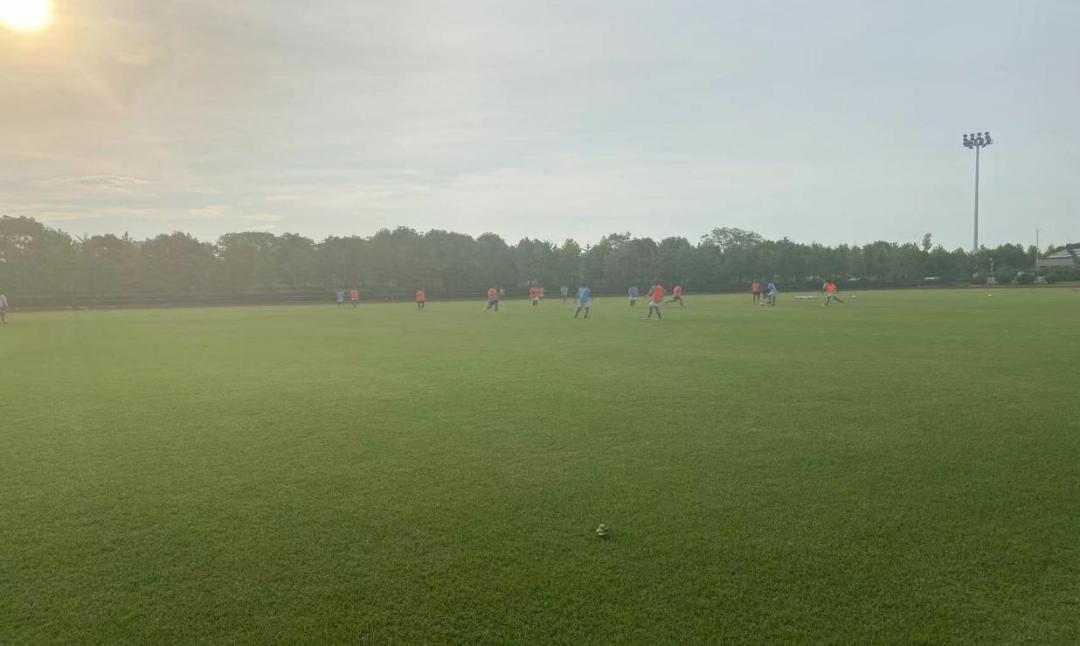 足球基本知识及常识,足球知识科普活动