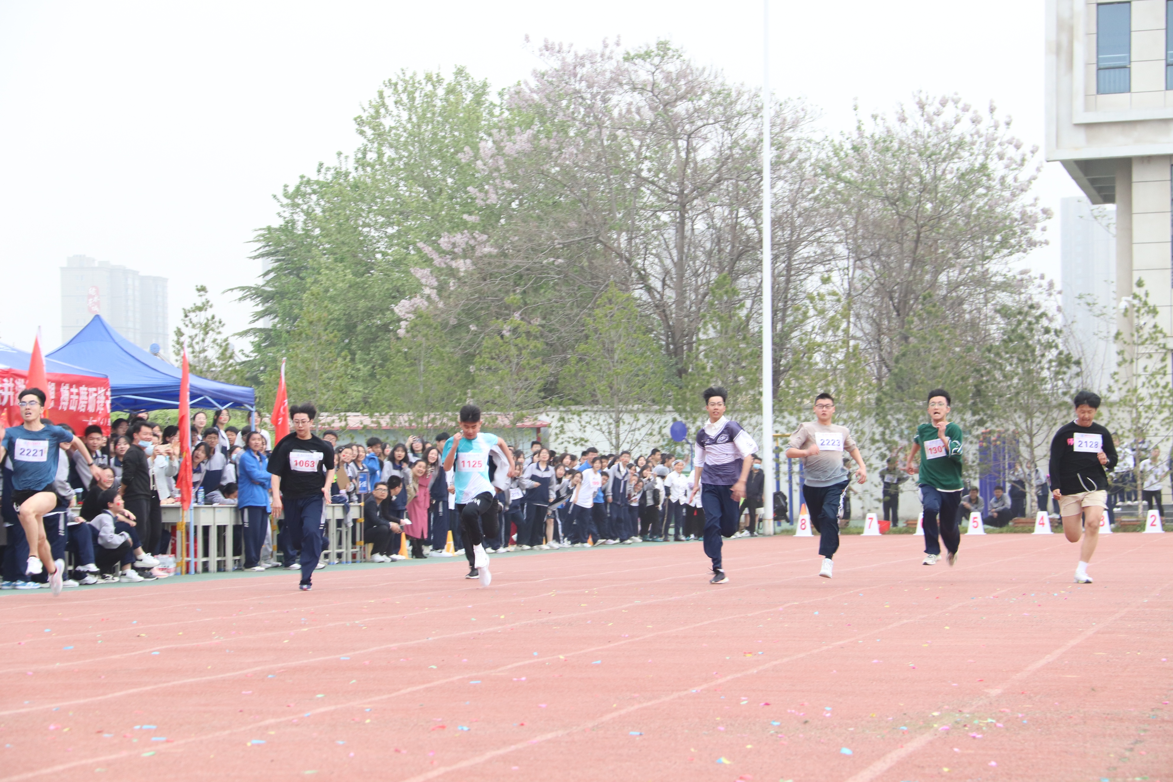 青春无畏逐梦扬威运动会口号,逐梦青春学校运动会开幕式