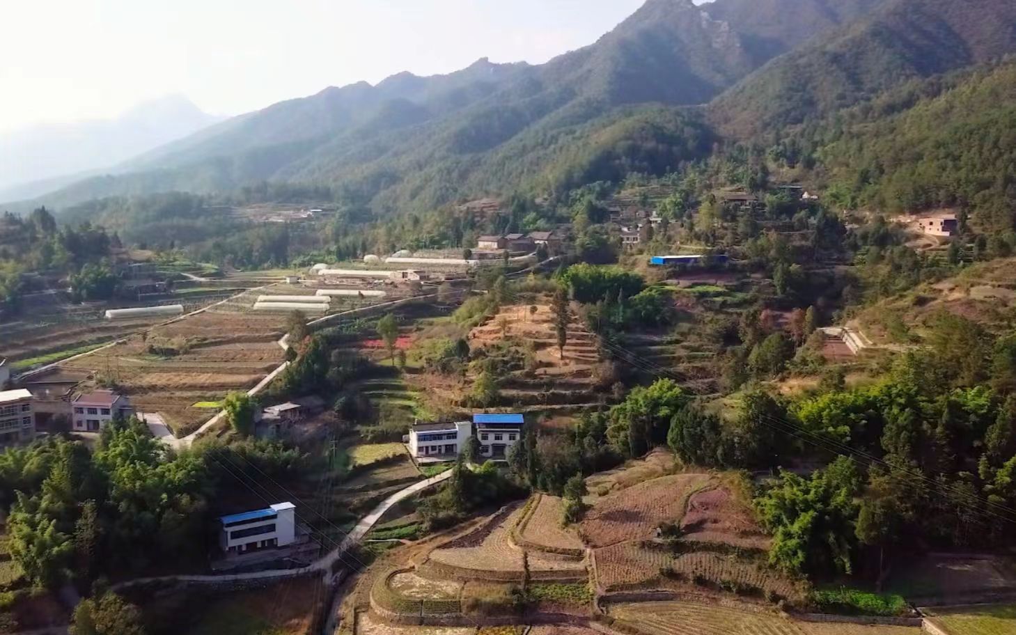 便民市场做干果一年大概赚多少,在老家卖干果挣钱吗