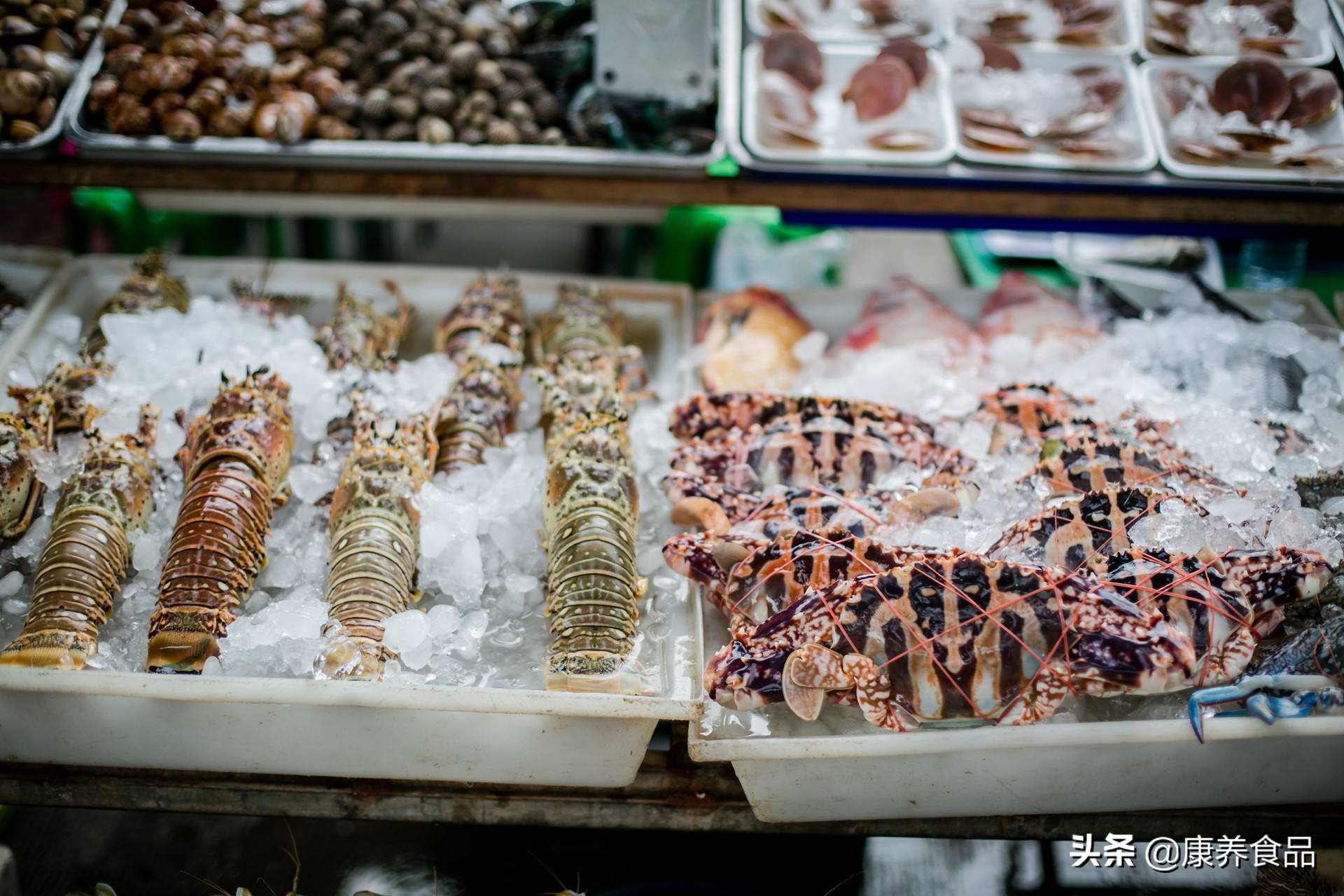 海洋下的神秘宝藏,我国海洋新宝藏