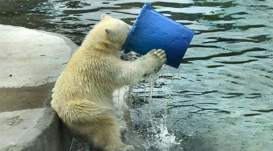 蜜雪冰城为什么做大做强了,蜜雪冰城如何为瓶装水业务赋能